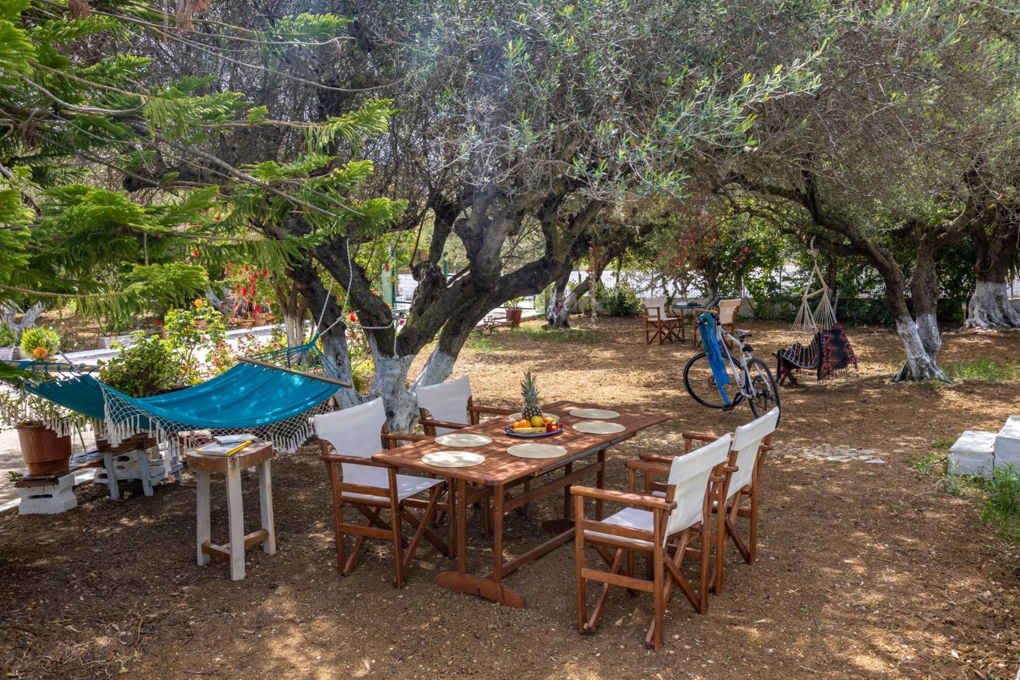 Sea & Olives House Villa Lixoúri Eksteriør bilde